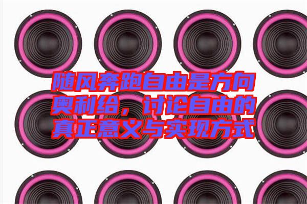 隨風奔跑自由是方向奧利給，討論自由的真正意義與實現方式