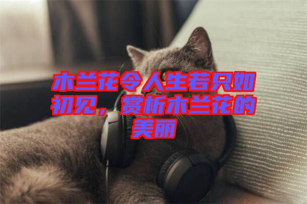 木蘭花令人生若只如初見，賞析木蘭花的美麗