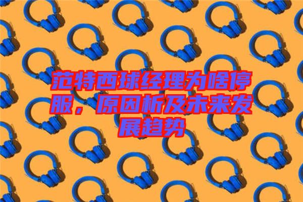 范特西球經(jīng)理為啥停服,原因析及未來(lái)發(fā)展趨勢(shì)