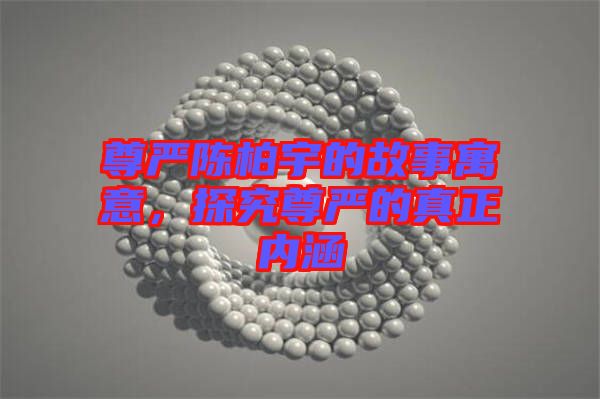 尊嚴(yán)陳柏宇的故事寓意,探究尊嚴(yán)的真正內(nèi)涵