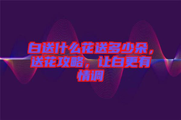 白送什么花送多少朵，送花攻略，讓白更有情調(diào)