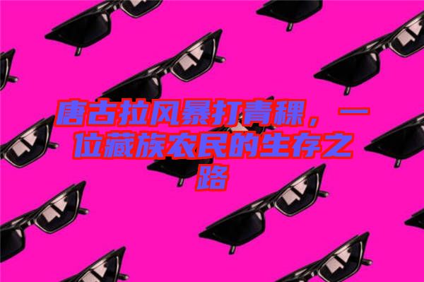 唐古拉風(fēng)暴打青稞，一位藏族農(nóng)民的生存之路
