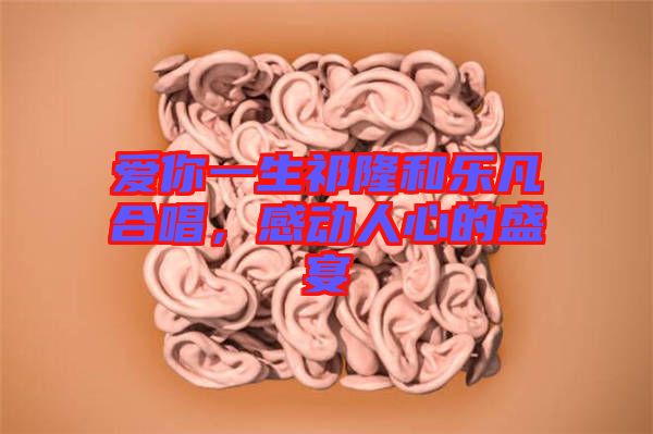 愛你一生祁隆和樂(lè)凡合唱，感動(dòng)人心的盛宴