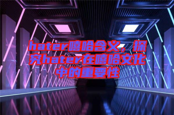hater嘻哈含義，探究hater在嘻哈文化中的重要性