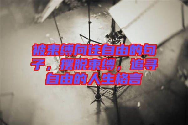 被束縛向往自由的句子，擺脫束縛，追尋自由的人生格言