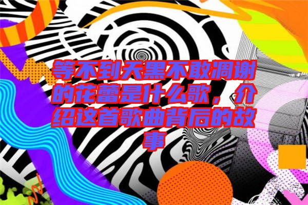 等不到天黑不敢凋謝的花蕾是什么歌，介紹這首歌曲背后的故事