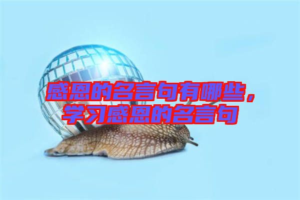 感恩的名言句有哪些,學(xué)習(xí)感恩的名言句