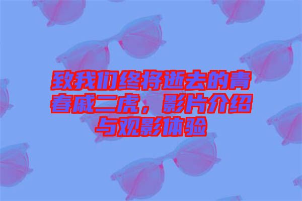 致我們終將逝去的青春戚二虎，影片介紹與觀影體驗