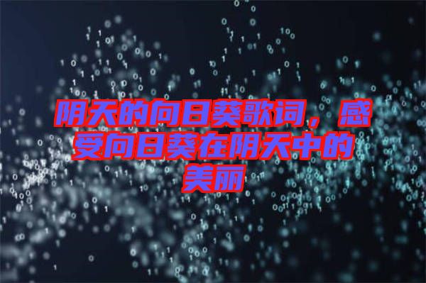 陰天的向日葵歌詞，感受向日葵在陰天中的美麗