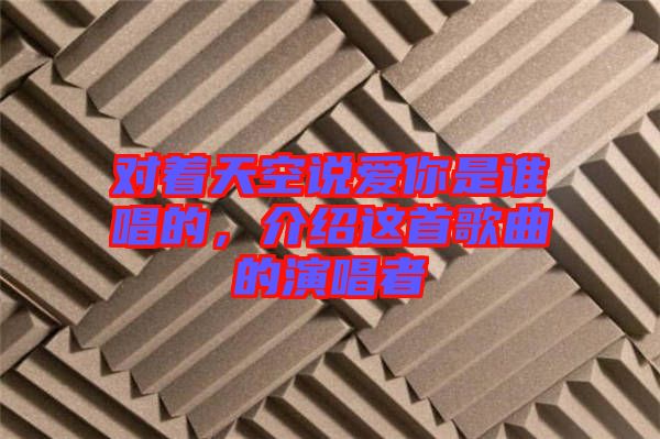 對著天空說愛你是誰唱的，介紹這首歌曲的演唱者