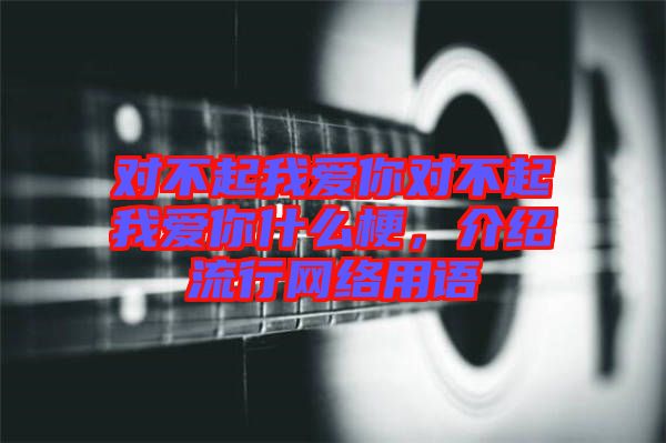 對不起我愛你對不起我愛你什么梗，介紹流行網絡用語