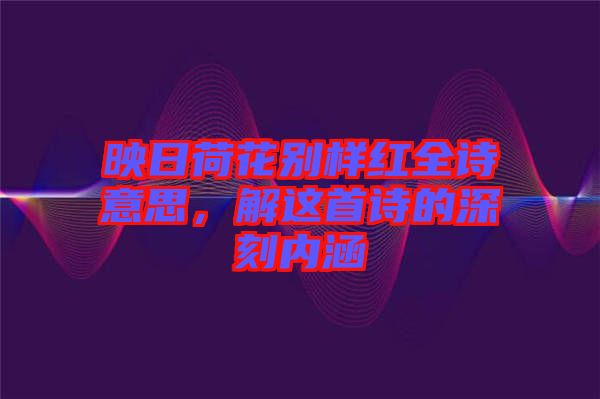 映日荷花別樣紅全詩意思，解這首詩的深刻內涵