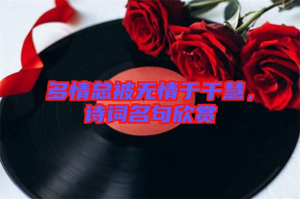 多情總被無情于千慧，詩詞名句欣賞