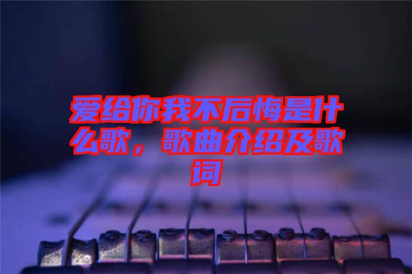 愛(ài)給你我不后悔是什么歌,歌曲介紹及歌詞