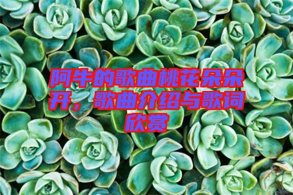 阿牛的歌曲桃花朵朵開，歌曲介紹與歌詞欣賞