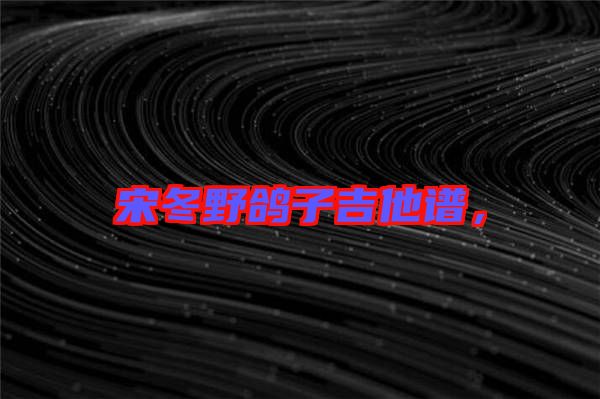 宋冬野鴿子吉他譜，