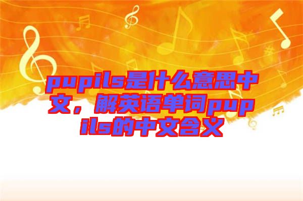pupils是什么意思中文，解英語單詞pupils的中文含義