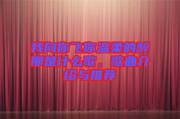 我向你飛你溫柔的醉那是什么歌，歌曲介紹與推薦