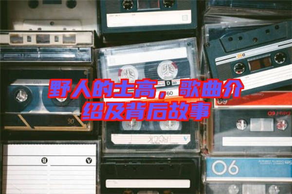 野人的士高，歌曲介紹及背后故事