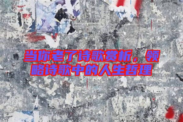 當你老了詩歌賞析，領略詩歌中的人生哲理