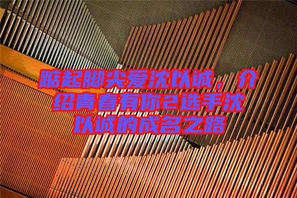 踮起腳尖愛沈以誠，介紹青春有你2選手沈以誠的成名之路