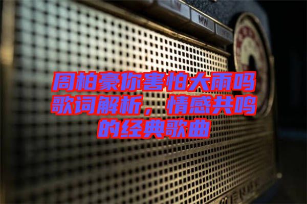 周柏豪你害怕大雨嗎歌詞解析，情感共鳴的經典歌曲