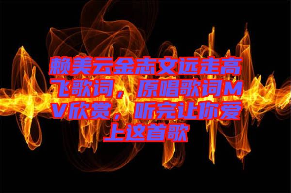 賴美云金志文遠走高飛歌詞，原唱歌詞MV欣賞，聽完讓你愛上這首歌