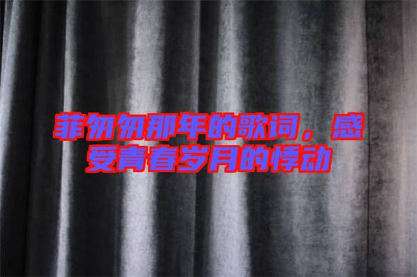 菲匆匆那年的歌詞,感受青春歲月的悸動