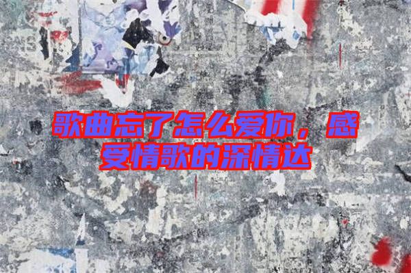 歌曲忘了怎么愛你,感受情歌的深情達(dá)