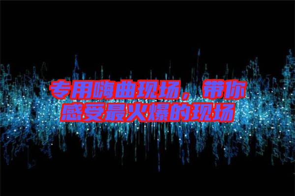 專用嗨曲現場，帶你感受最火爆的現場