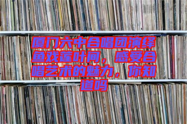 廈門六中合唱團(tuán)演繹魚戲蓮葉間,感受合唱藝術(shù)的魅力,你知道嗎