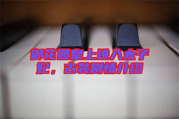 御花園皇上進入太子妃，古裝劇情介紹