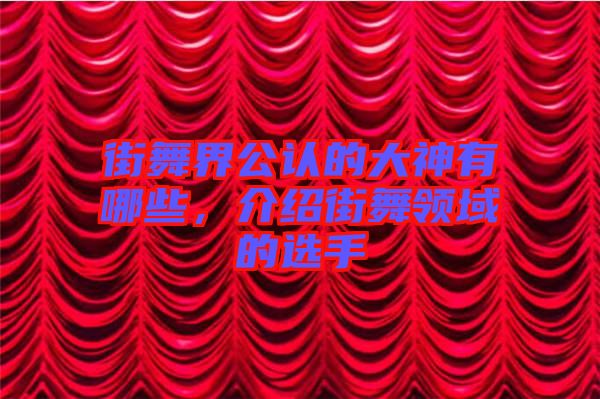街舞界公認(rèn)的大神有哪些,介紹街舞領(lǐng)域的選手