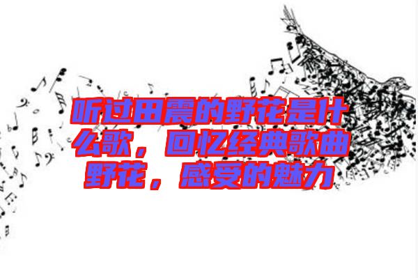 聽(tīng)過(guò)田震的野花是什么歌，回憶經(jīng)典歌曲野花，感受的魅力