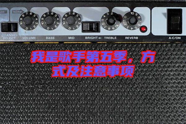 我是歌手第五季，方式及注意事項