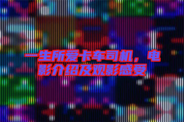 一生所愛卡車司機，電影介紹及觀影感受