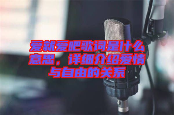 愛(ài)就愛(ài)吧歌詞是什么意思,詳細(xì)介紹愛(ài)情與自由的關(guān)系
