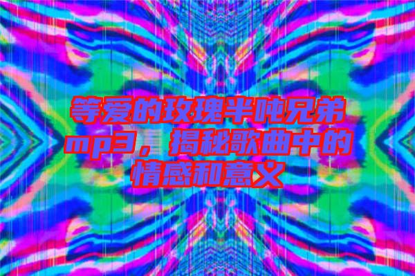 等愛的玫瑰半噸兄弟mp3，揭秘歌曲中的情感和意義