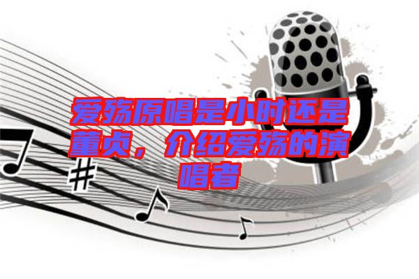 愛殤原唱是小時(shí)還是董貞,介紹愛殤的演唱者