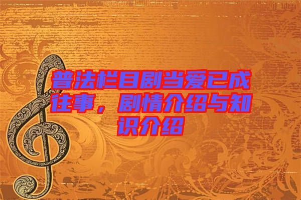 普法欄目劇當(dāng)愛已成往事,劇情介紹與知識介紹