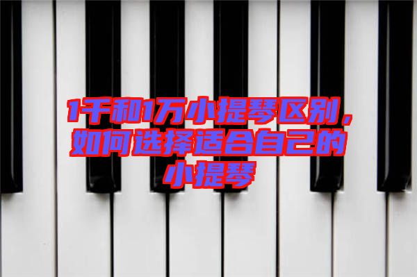 1千和1萬小提琴區別，如何選擇適合自己的小提琴