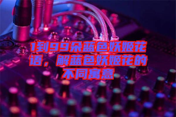 1到99朵藍色妖姬花語，解藍色妖姬花的不同寓意