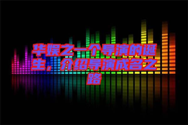 華娛之一個導(dǎo)演的誕生,介紹導(dǎo)演成名之路