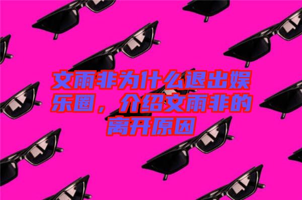 文雨非為什么退出娛樂(lè)圈,介紹文雨非的離開(kāi)原因