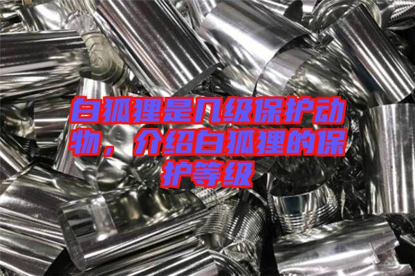 白狐貍是幾級保護(hù)動(dòng)物,介紹白狐貍的保護(hù)等級
