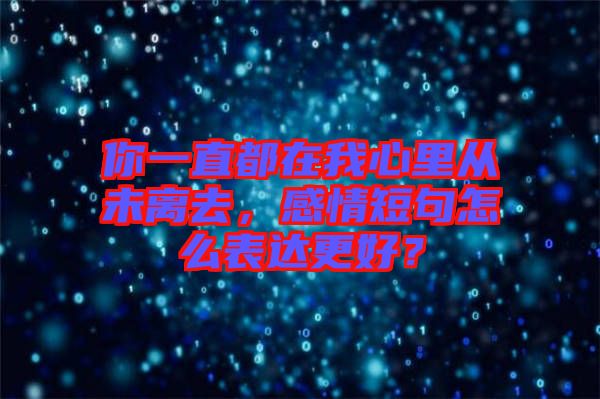 你一直都在我心里從未離去，感情短句怎么表達更好？