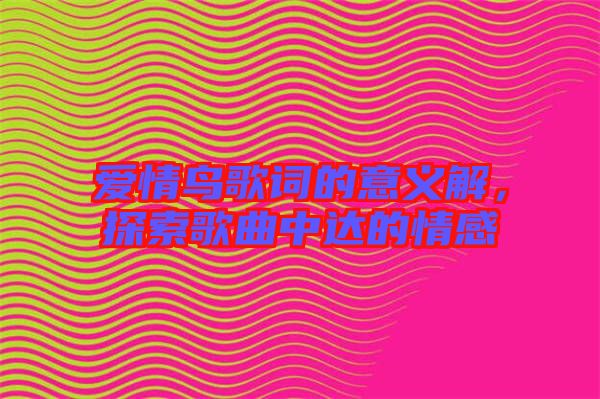 愛情鳥歌詞的意義解，探索歌曲中達的情感