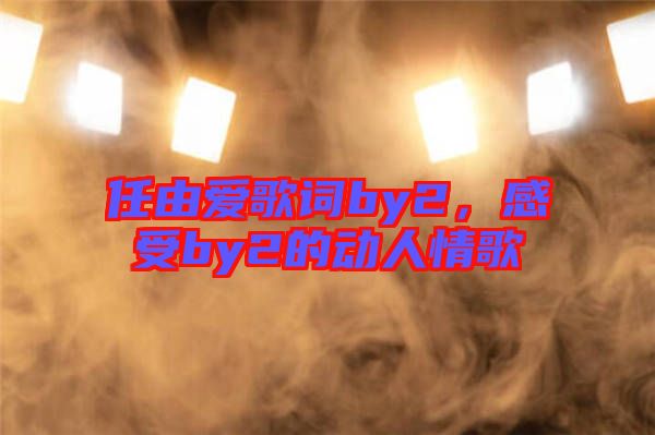 任由愛歌詞by2,感受by2的動(dòng)人情歌