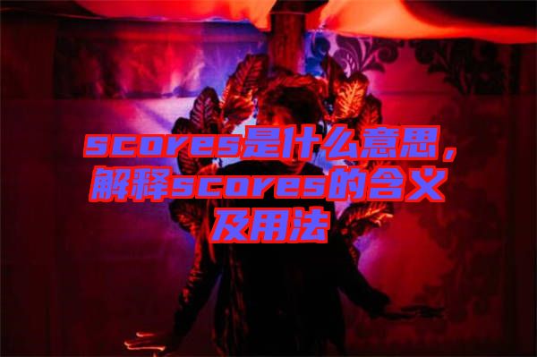 scores是什么意思，解釋scores的含義及用法
