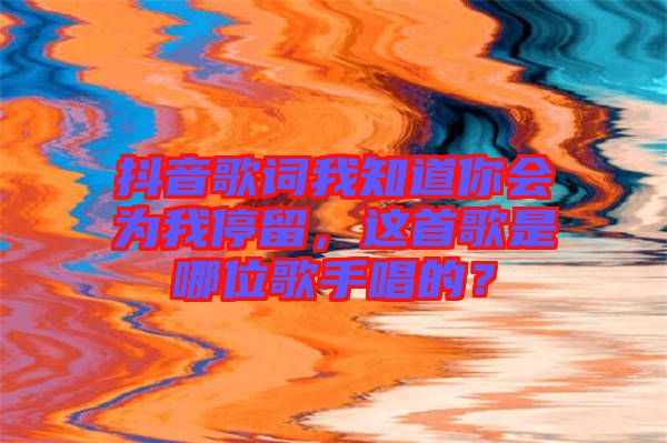 抖音歌詞我知道你會為我停留，這首歌是哪位歌手唱的？